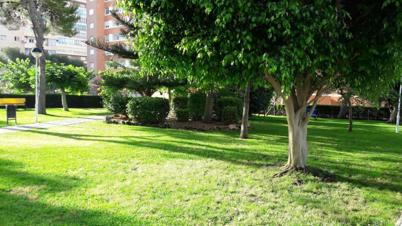 Apartamento Provima B 4 If Appartement
